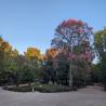 images/flyer/gallery/jardim-estrela/jardim_estrela_10.jpeg
