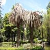 images/flyer/gallery/jardim-estrela/jardim_estrela_2.jpeg