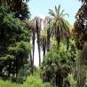 images/flyer/gallery/jardim-estrela/jardim_estrela_4.jpeg