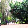 images/flyer/gallery/jardim-estrela/jardim_estrela_6.jpeg