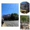 images/flyer/gallery/jardim-nuno/jardim_santos.jpeg