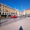 images/flyer/gallery/terreiro/terreiro_3.jpeg