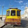 images/flyer/gallery/terreiro/terreiro_7.jpeg