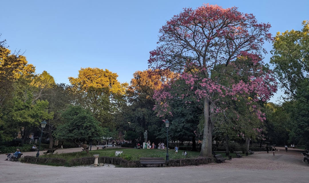 Jardim da Estrela